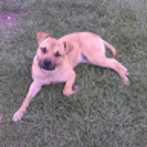 Meet your Posher, Gary